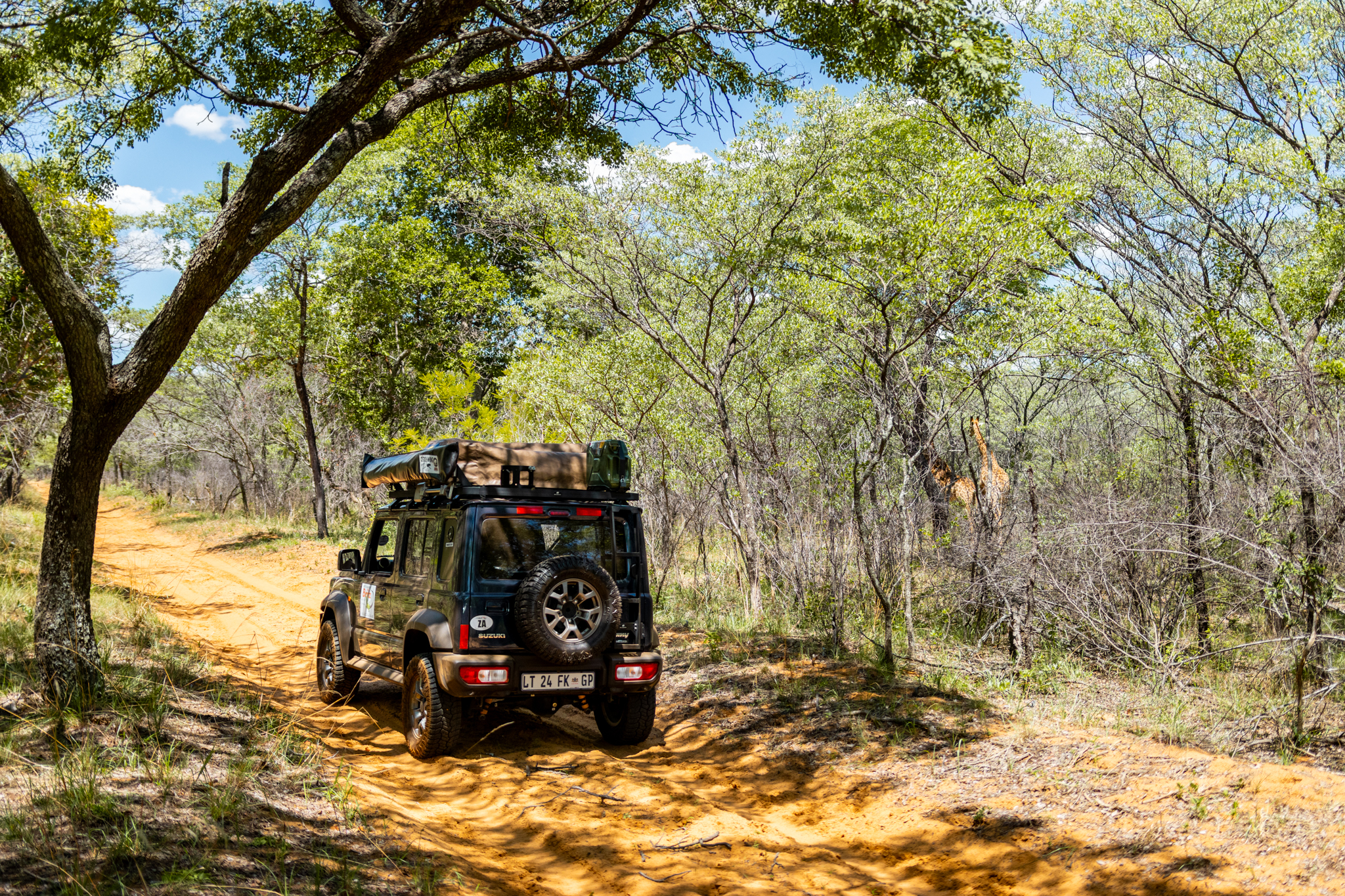 Suzuki Jimny on a bush track with a giraffe in the background