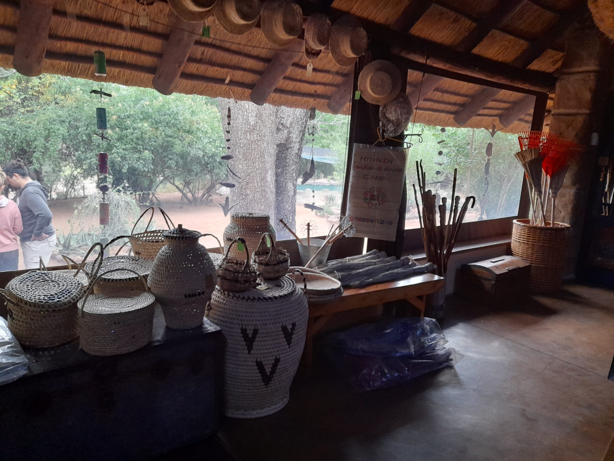 Ancient baobab tree at a bush camp in northern Kruger National Park