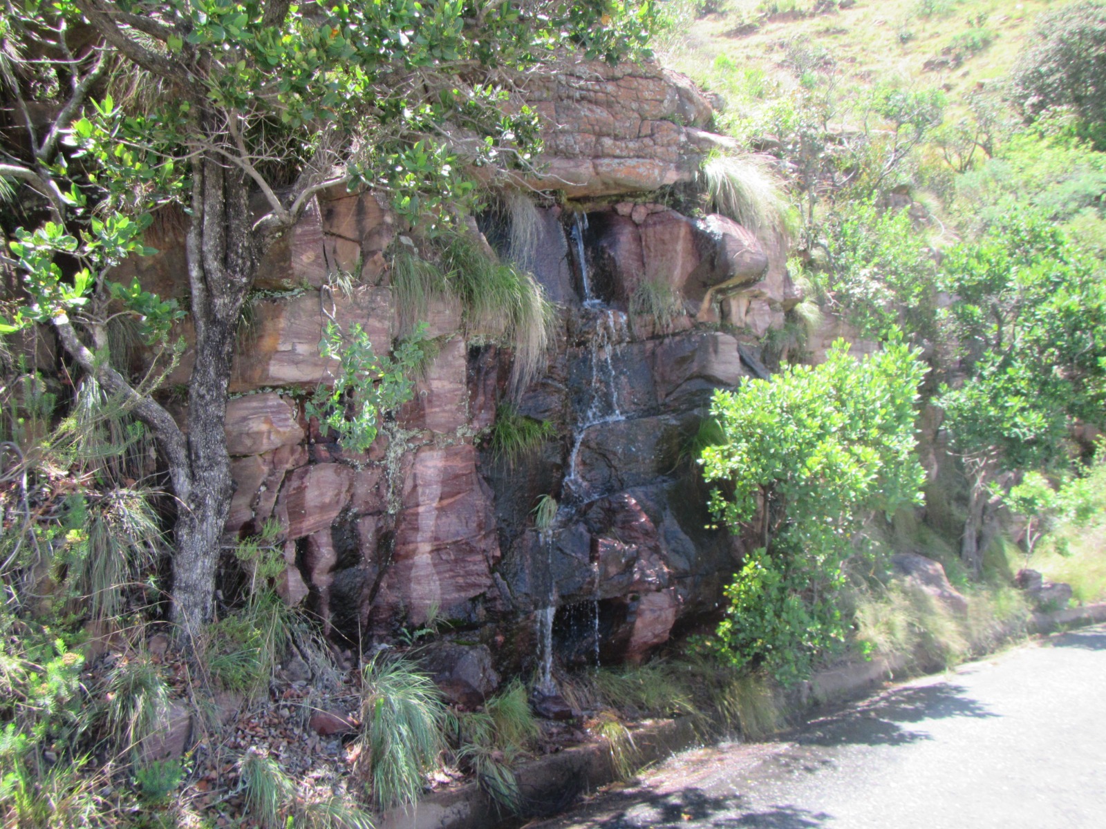 Roadside waterfall