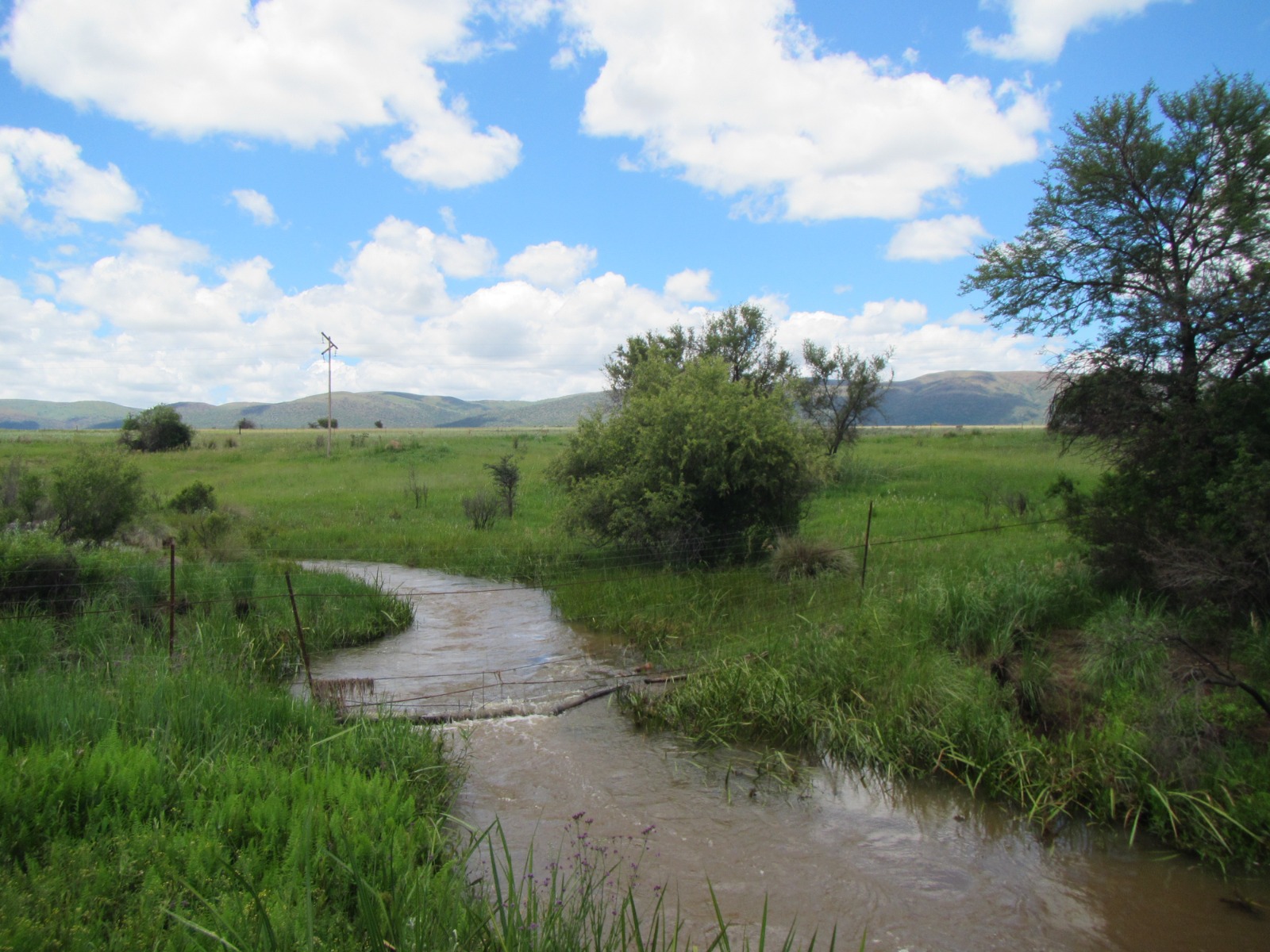 Melk Rivier