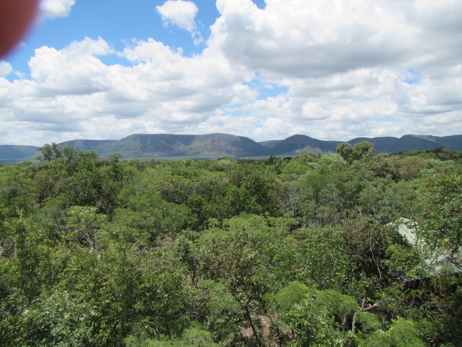 Waterberg panorama